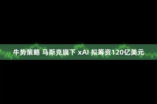 牛势策略 马斯克旗下 xAI 拟筹资120亿美元